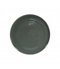 Assiette plate Nature coloris vert d'eau