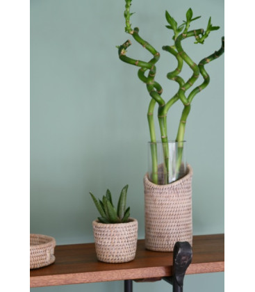 Vase Pye rotin blanc cérusé, modèle M